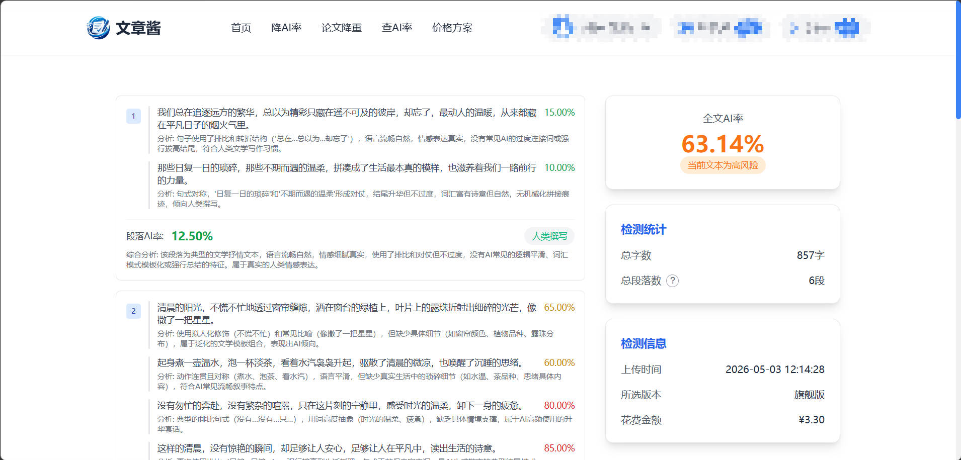 旗舰版检测结果示例