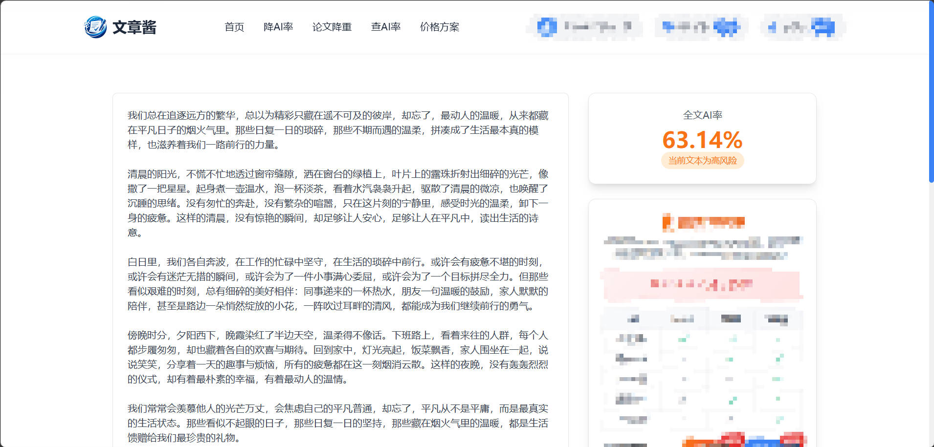 标准版检测结果示例